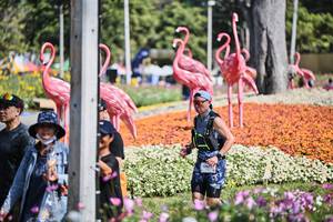 BIB: 
                            <button type="button" onclick="openModal(27793615)" class="btn btn-primary btn-sm float-right btn-popup" data-toggle="modal" data-target=".modal-high-quality">
                        <i class="fas fa-shopping-cart"></i> Add to Cart
                    </button>
                                            <button type="button" onclick="isThisMe(27793615, true)" class="btn btn-success btn-sm float-right btn-popup btn-isme hidden" data-toggle="tooltip" data-placement="bottom" title="นี่คือรูปของคุณใช่ไหม คลิกที่นี่เพื่อเอาเข้าอัลบั้ม">
                        <i class="fas fa-plus"></i> Add to album
                    </button>
                    <button type="button" onclick="isThisMe(27793615, false)" class="btn btn-warning btn-sm float-right btn-popup btn-isnotme hidden">
                        <i class="fas fa-ban"></i> Remove from album
                    </button>